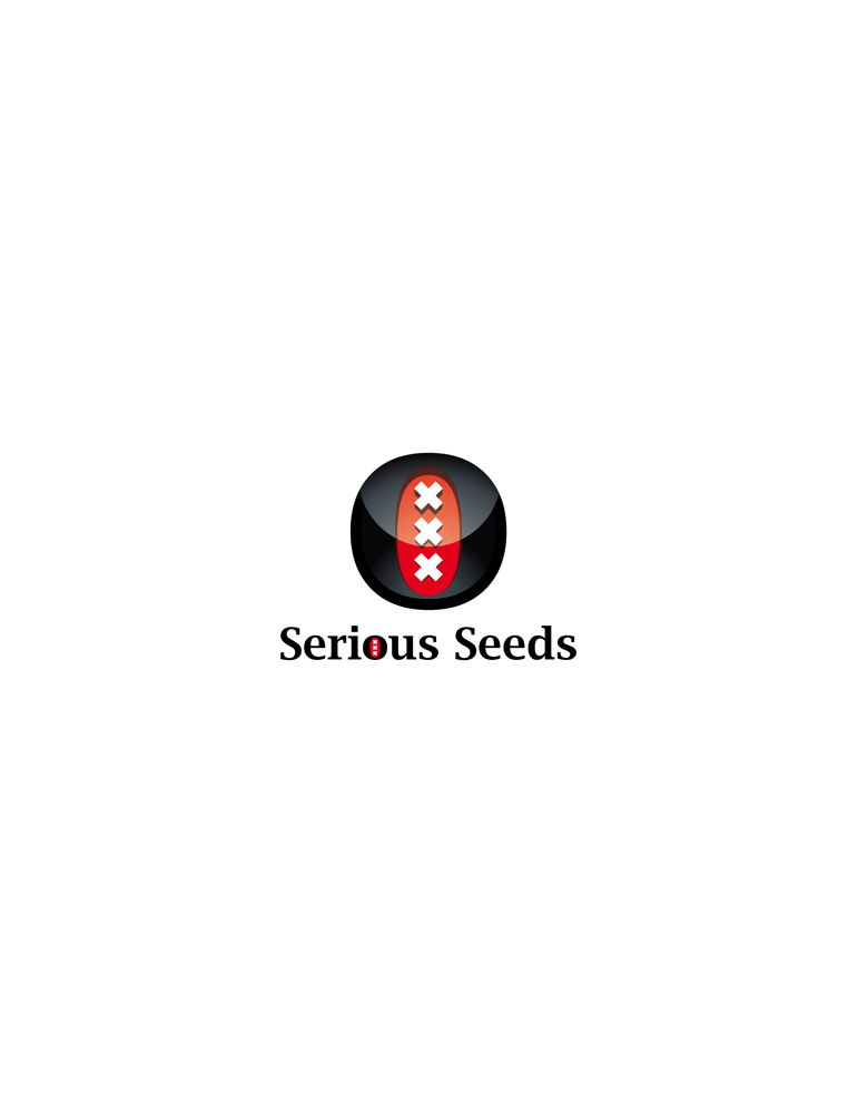 Serious seeds - semena konopí