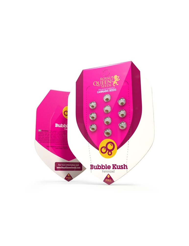 Bubble Kush - feminized autoflower seeds