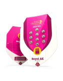 Royal AK