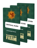 Barney's Farm Critical Kush