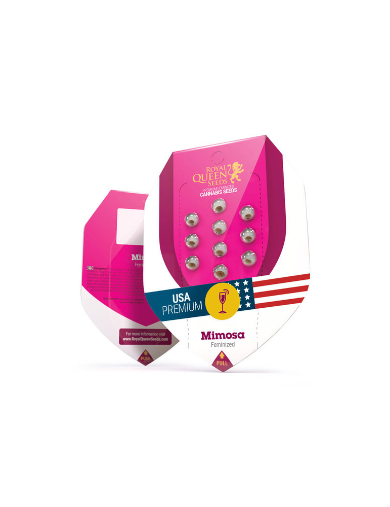 Royal Qeen Seeds | Mimosa - feminizovaná semínka konopí