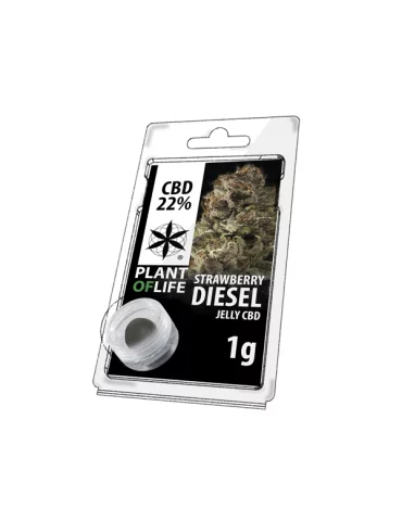 CBD Hash 22% CBD