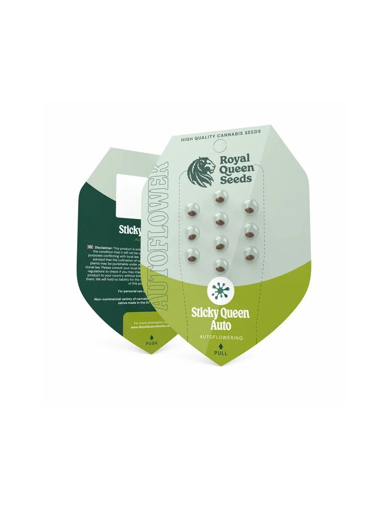 sticky_queen_auto_714_detail_galerie_rqs_cannabis_seeds_autoflower_seeds_02