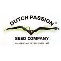 Dutch Passion